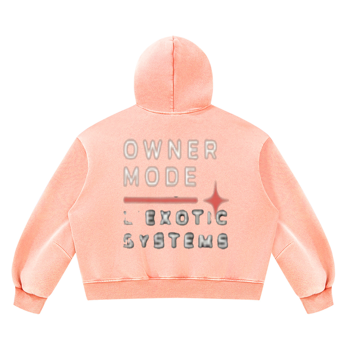 L’Exotic Systems Owner Mode Vintage Wash Hoodie