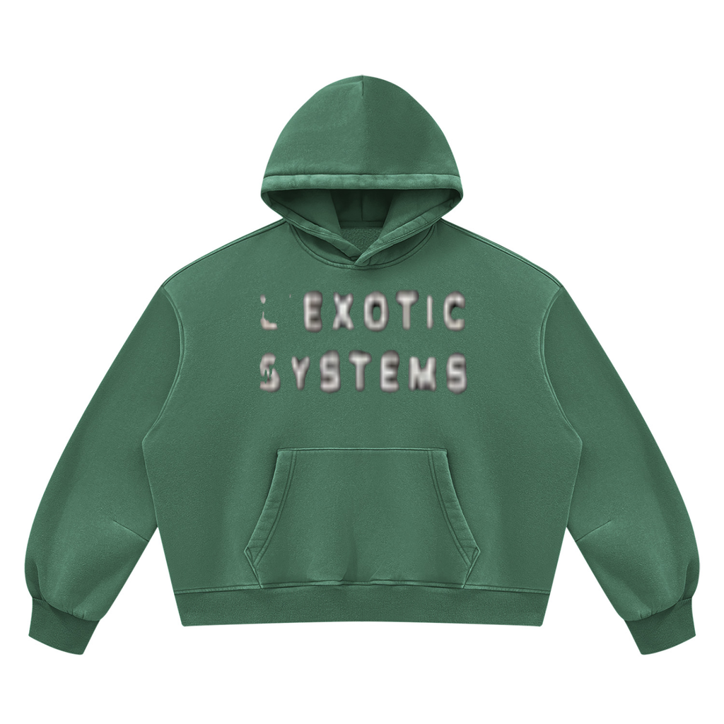 L’Exotic Systems Owner Mode Vintage Wash Hoodie