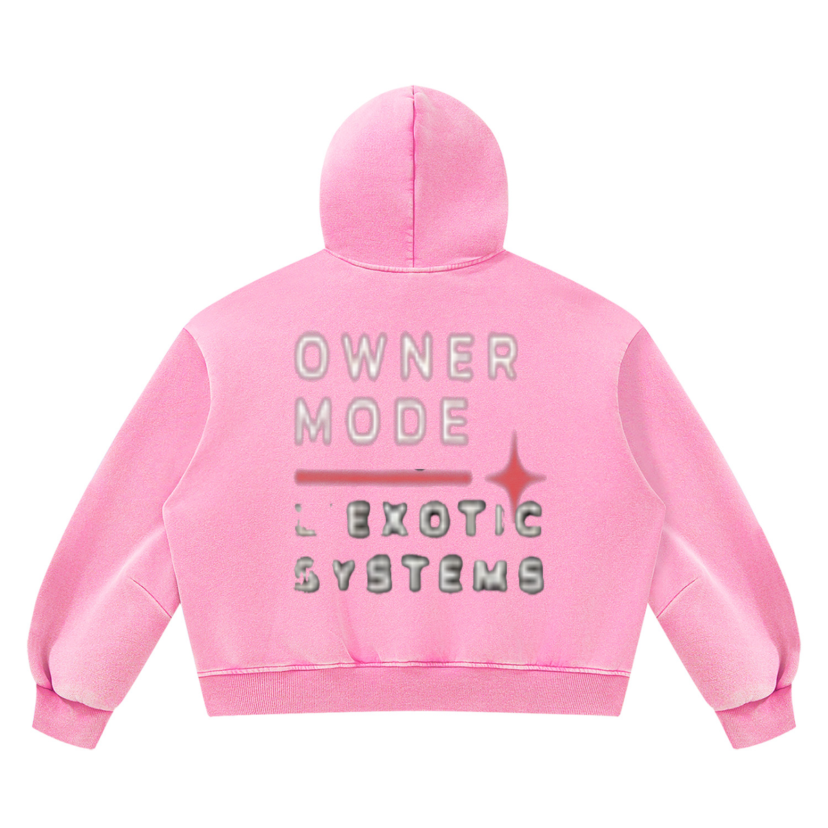 L’Exotic Systems Owner Mode Vintage Wash Hoodie
