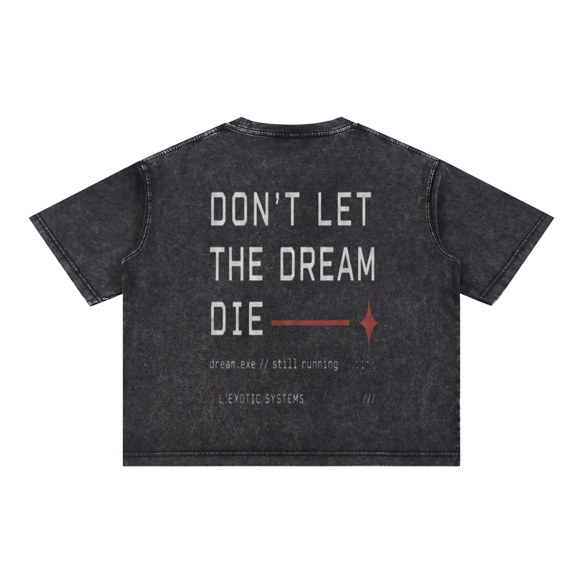 L’Exotic Systems Mineral Wash Boxy Tee
