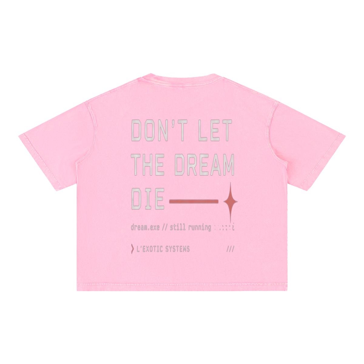 L’Exotic Systems Mineral Wash Boxy Tee