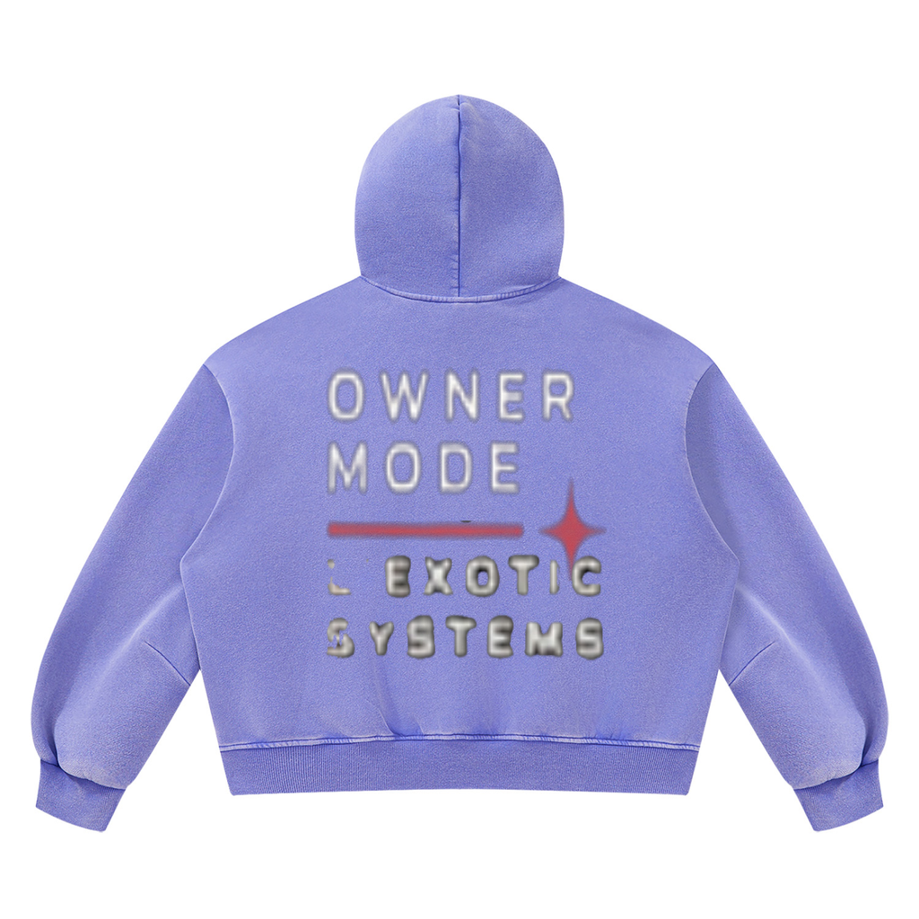 L’Exotic Systems Owner Mode Vintage Wash Hoodie