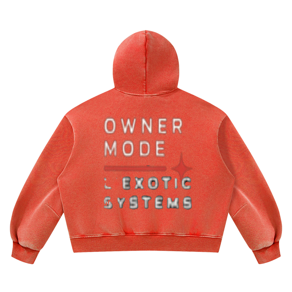 L’Exotic Systems Owner Mode Vintage Wash Hoodie