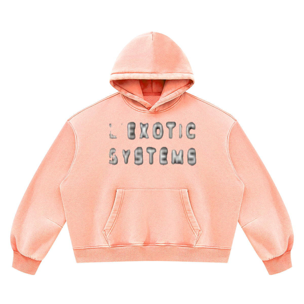 L’Exotic Systems Owner Mode Vintage Wash Hoodie