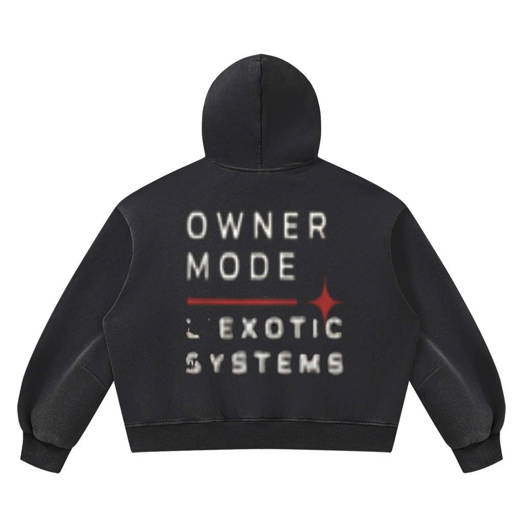 L’Exotic Systems Owner Mode Vintage Wash Hoodie